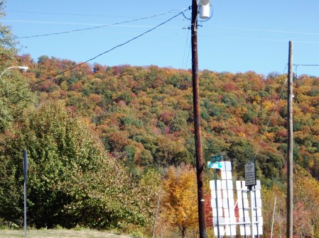 autumn-view-from-asheville-taco-bell.jpg